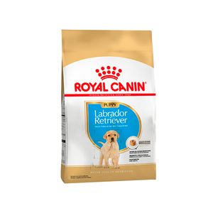 Royal Canin Labrador 33 Junior X 12 Kg