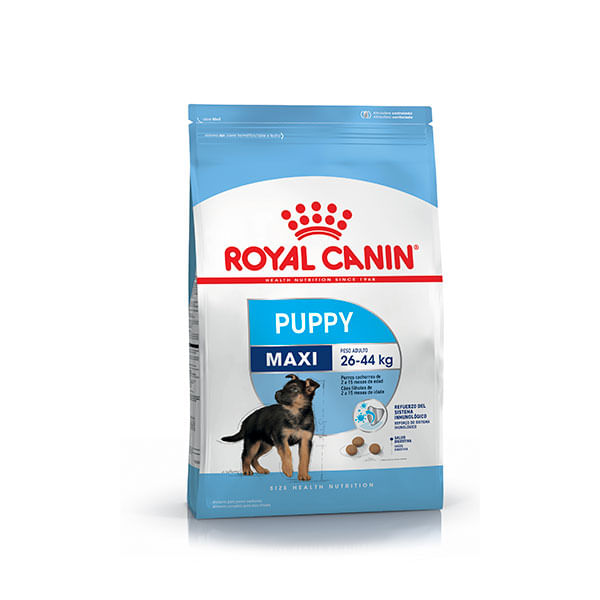 Best price for hotsell royal canin dog food