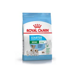 Royal Canin Perro Starter Mini X 1Kg