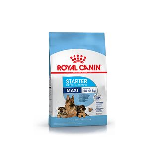 Royal Canin Perro Starter Maxi X 10 Kg