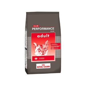 Club Performance Gato Adulto X 1.5 Kg