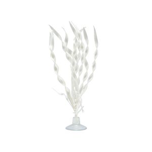 Marina Betta Planta Blanco