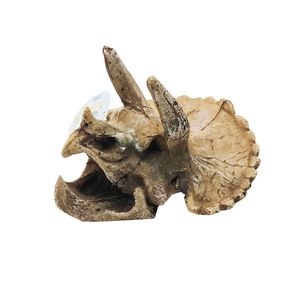 Calavera Triceratops 15X12X10