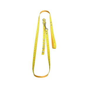 Conjunto Correa/Collar Nº1 Nylon