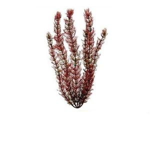 Planta Tetra Waterwonders Foxtail (45Cm)