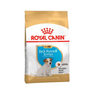 Royal Canin Cachorro Jack Russell Puppy X 1Kg