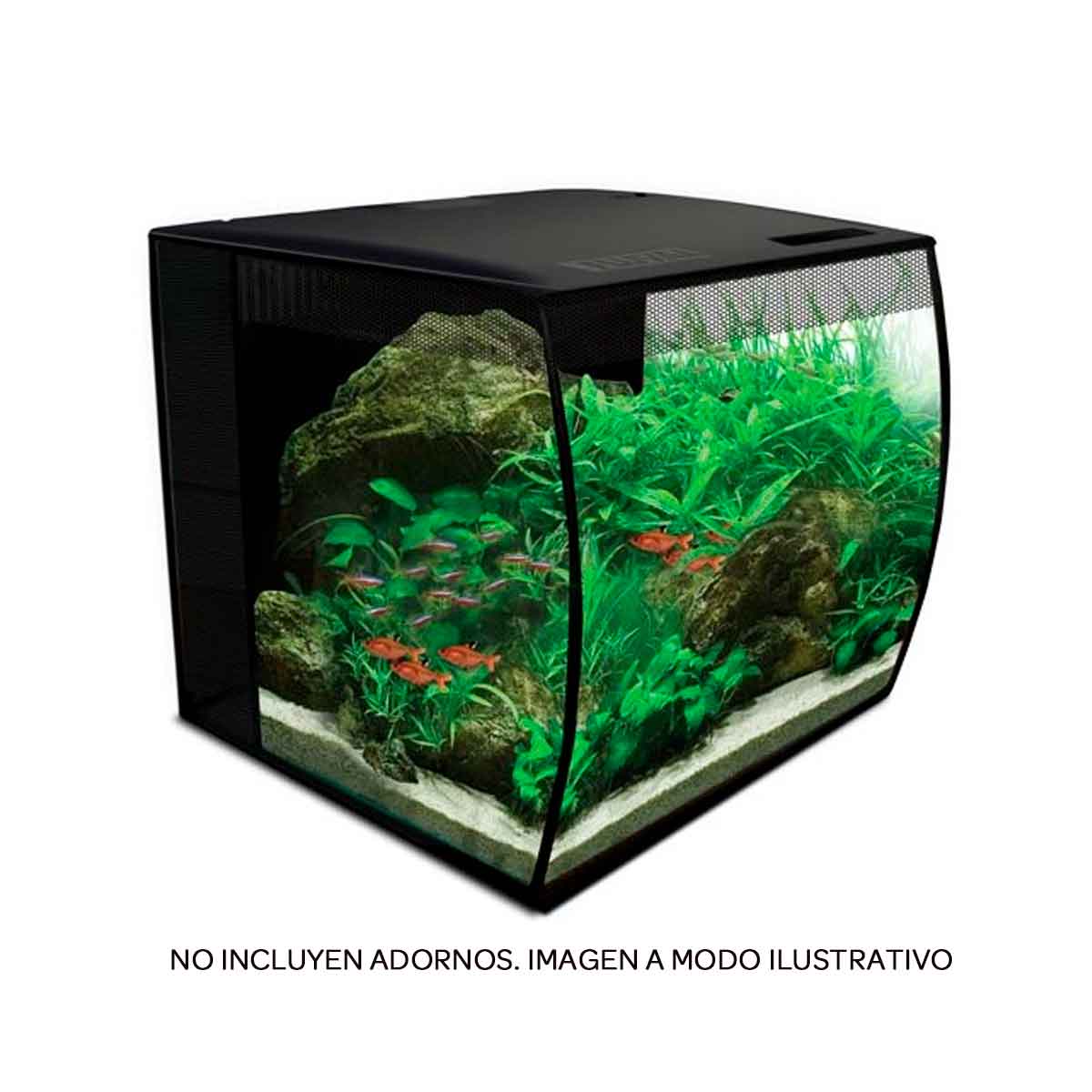 Depuradora Compra venta de peces, acuarios, peceras y accesorios en Córdoba  Provincia