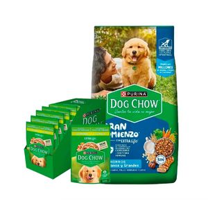 Dog Chow  Cachorro Mediano/ Grande  X 21 Kg